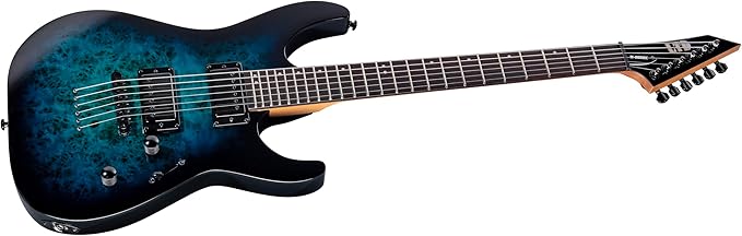 ESP LTD M-200DX Guitarra Eléctrica Blue Burst