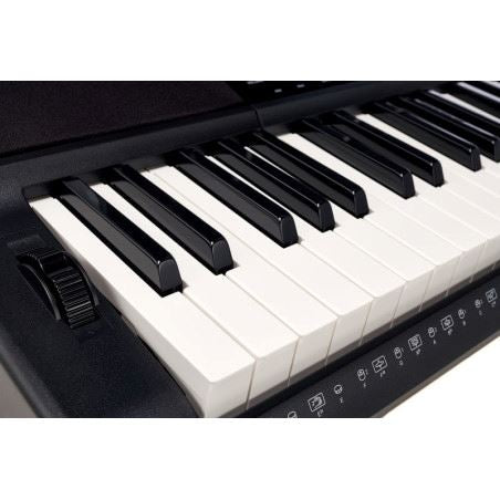 Casio CT-X800 Teclado Portátil con 61 Teclas Sensibles (Incluye Transformador) Teclados Casio